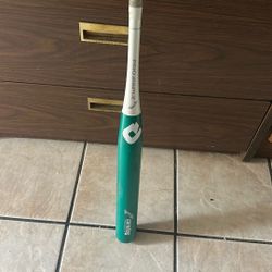 Softball Bat