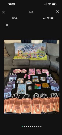 Bluey party supplies