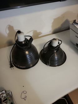 Reptile lamps