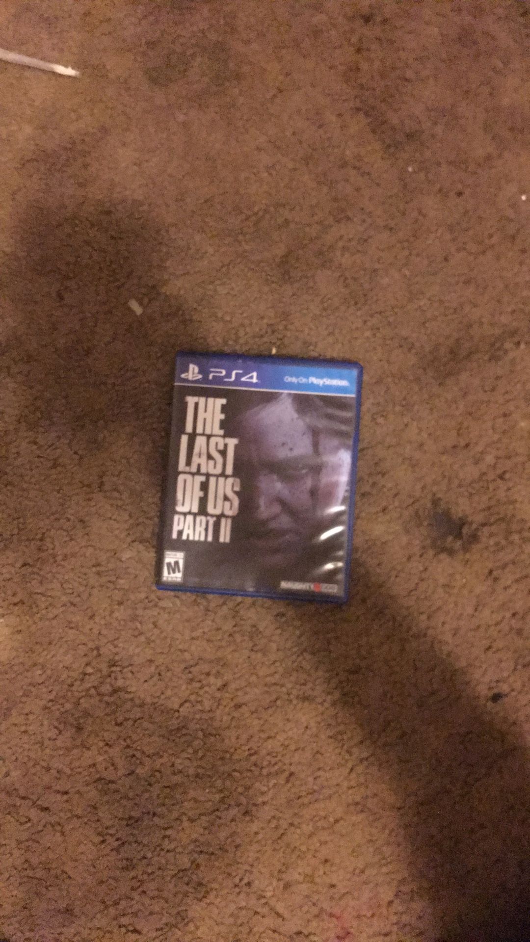 The Last Of Us Part 2