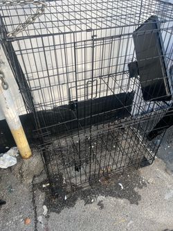 Giant Bird Cage