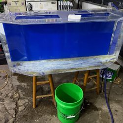 75 gallon acrylic hex fish tank with stand 