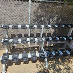 Startrac Commercial Dumbbell Weights Storage Rack 