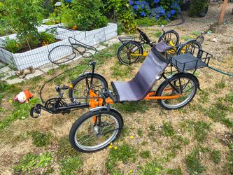 Recumbent trikes must sell $250 each