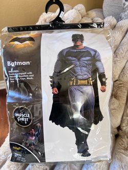 Batman v Superman Adult Costume One Size
