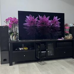 TV/ Entertainment stand