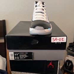 DS Jordan 11 Concord