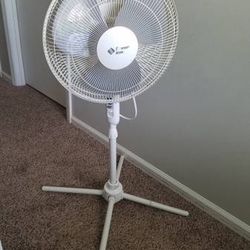 Nice Fan