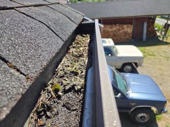 Gutter Cleaner