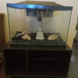 Aquarium 20 Gallon High