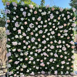 Blooming Flower wall