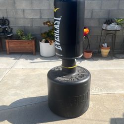 Everlast Powercore Punching Bag With Stand
