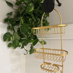 Shower Caddy