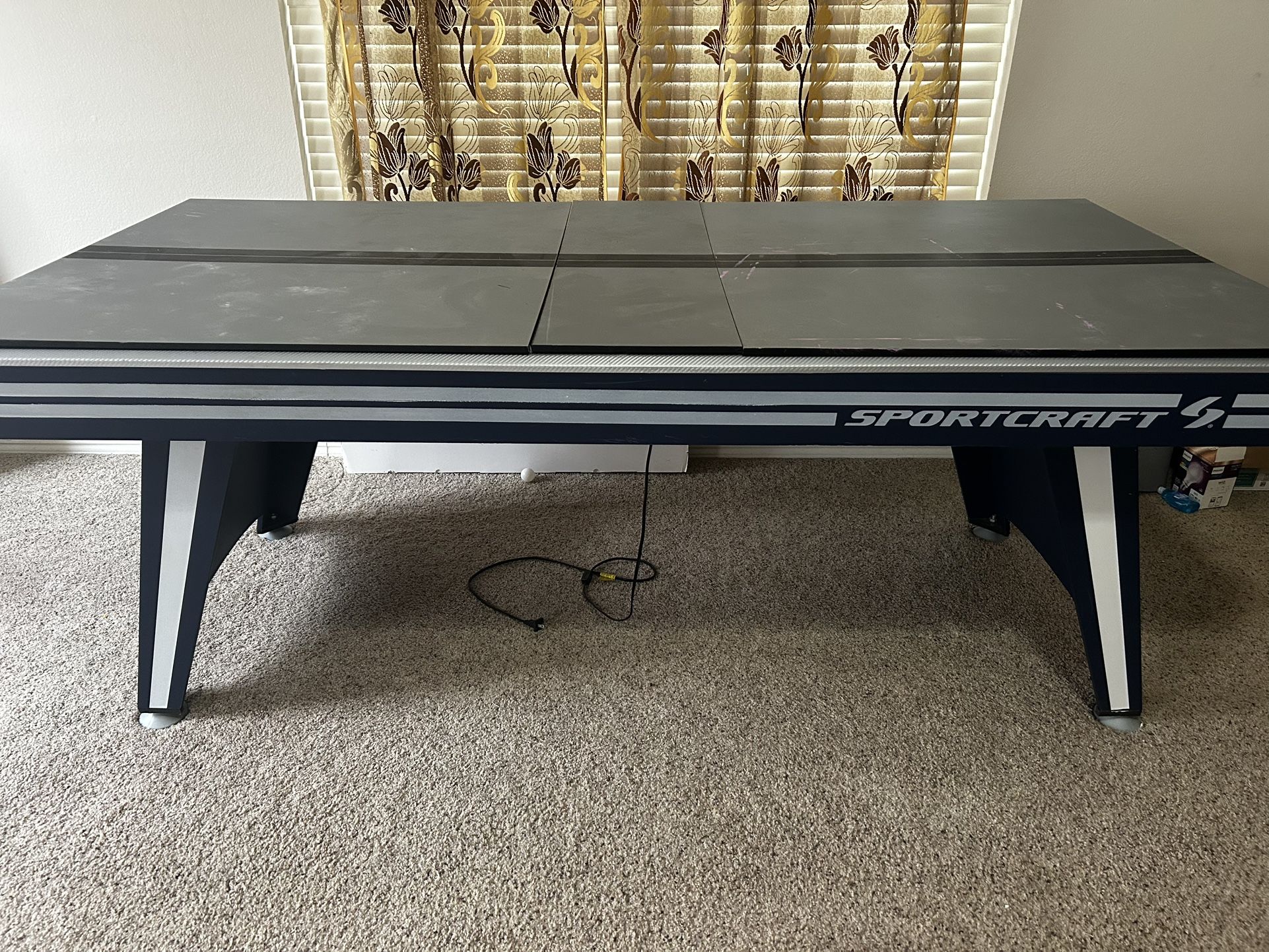 Ping Pong and Airhockey Table
