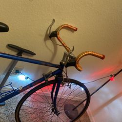 1984 Trek 510 Bicycle, Blue, Maroon, Gunmetal Color Scheme