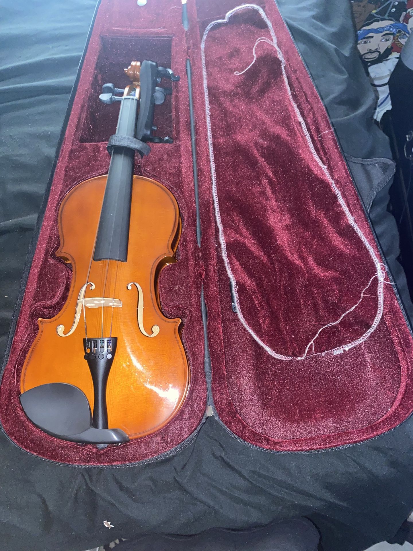 Violin