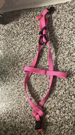 Pink Cat Harness