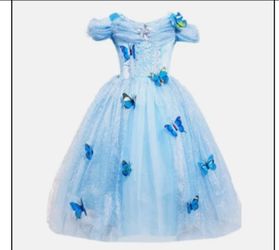 Cinderella costume