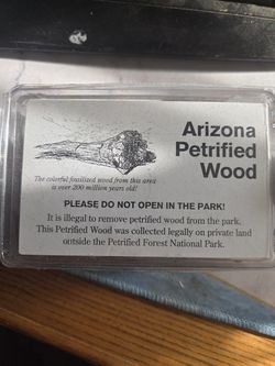 Arizona Petrified Wood box