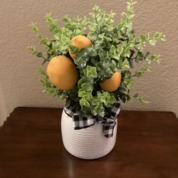 Lemon Decor 