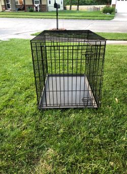 Dog Cage 36 x 24