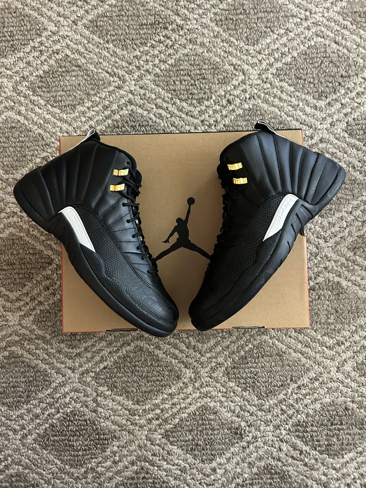 Jordan 12 “The Master”