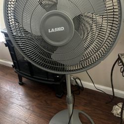 Lasko Fan 