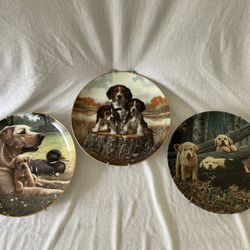 Limited Edition Porcelain Plates