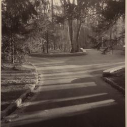 PHOTOGRAPHY ART 🖼️ 2007