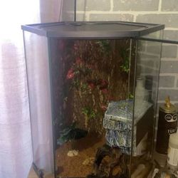 Thrive Vertical Hexagon Tropical Reptile Terrarium -20 Gallon