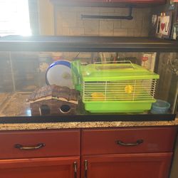 Hamster Case/tank