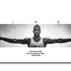 Michael Jordan Poster 