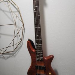 Schecter 5 String Bass
