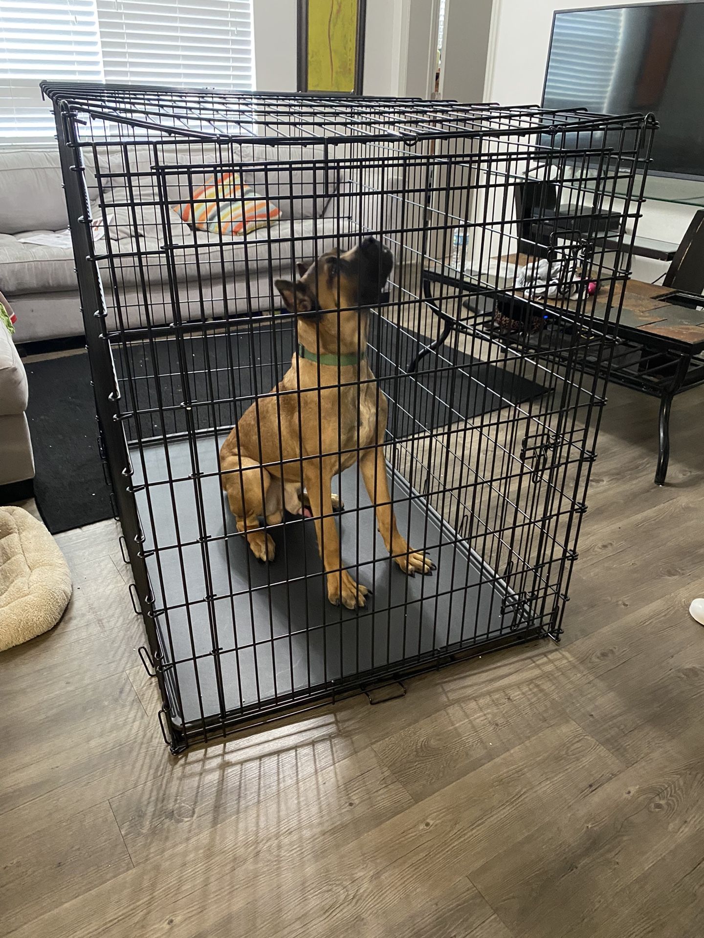 Xxl Dog Cage 