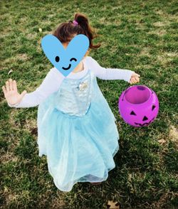 Elsa original Disney costume