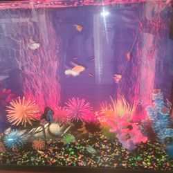 40 gallon fish tank/ aquarium