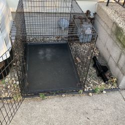 Pet Supplies 