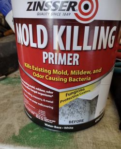 Zinsser 5 gal. Mold Killing Interior/Exterior Primer