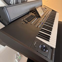 KORG PAas MK2 speaker.