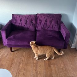 Purple Couch