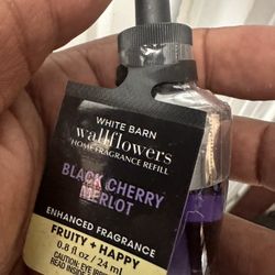 Sunflower Scent