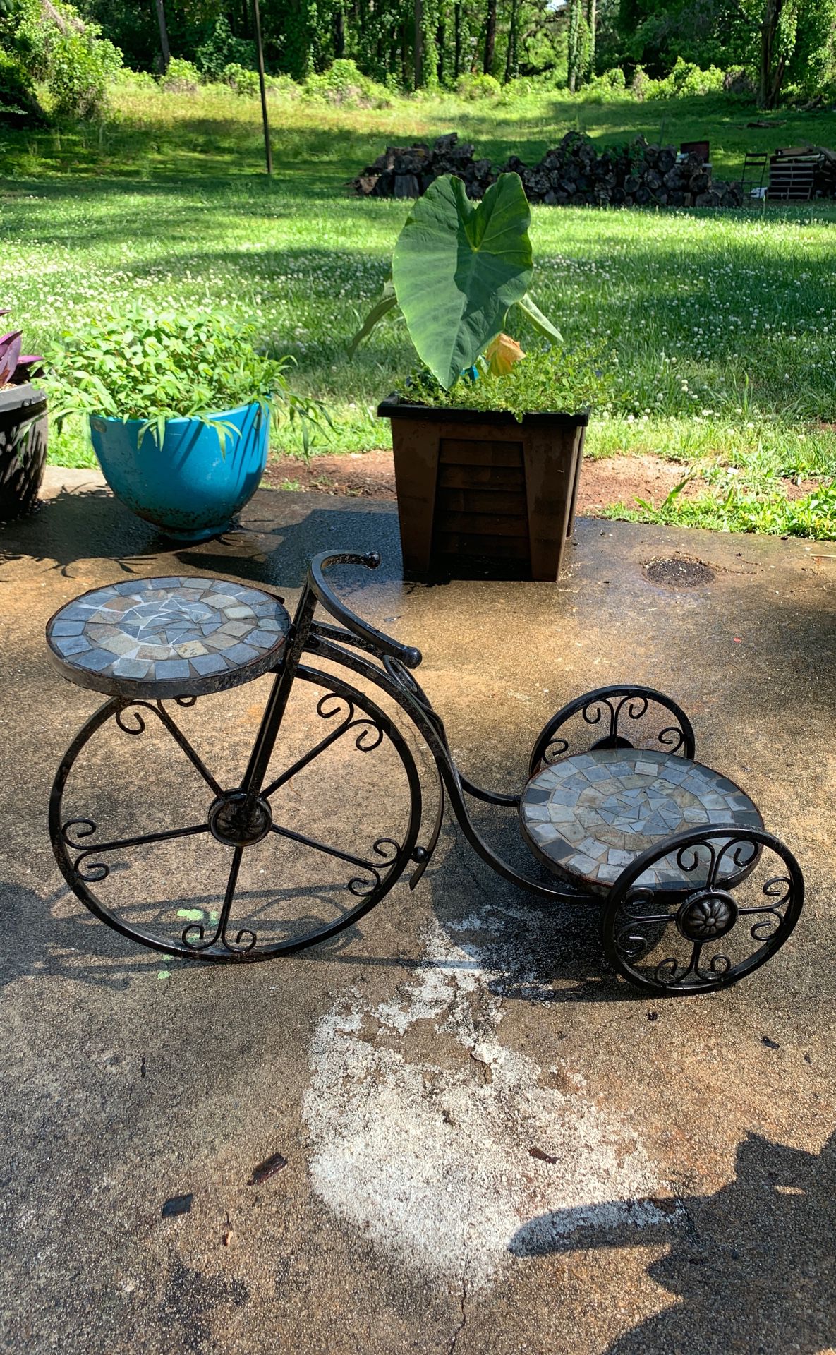Vintage Garden Tricycle Plant Holder