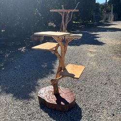 Tree For Plants  Or Cat . 