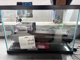 Fish Tank