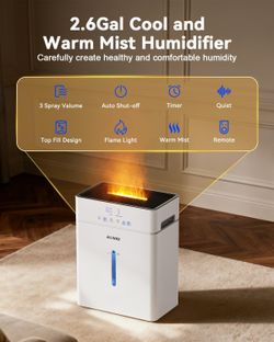10L Warm & Cool Mist Humidifier | Large Room 1000 sq ft
