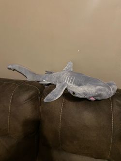 Hammerhead Shark