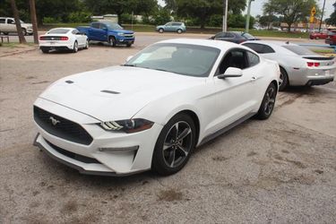 2019 Ford Mustang