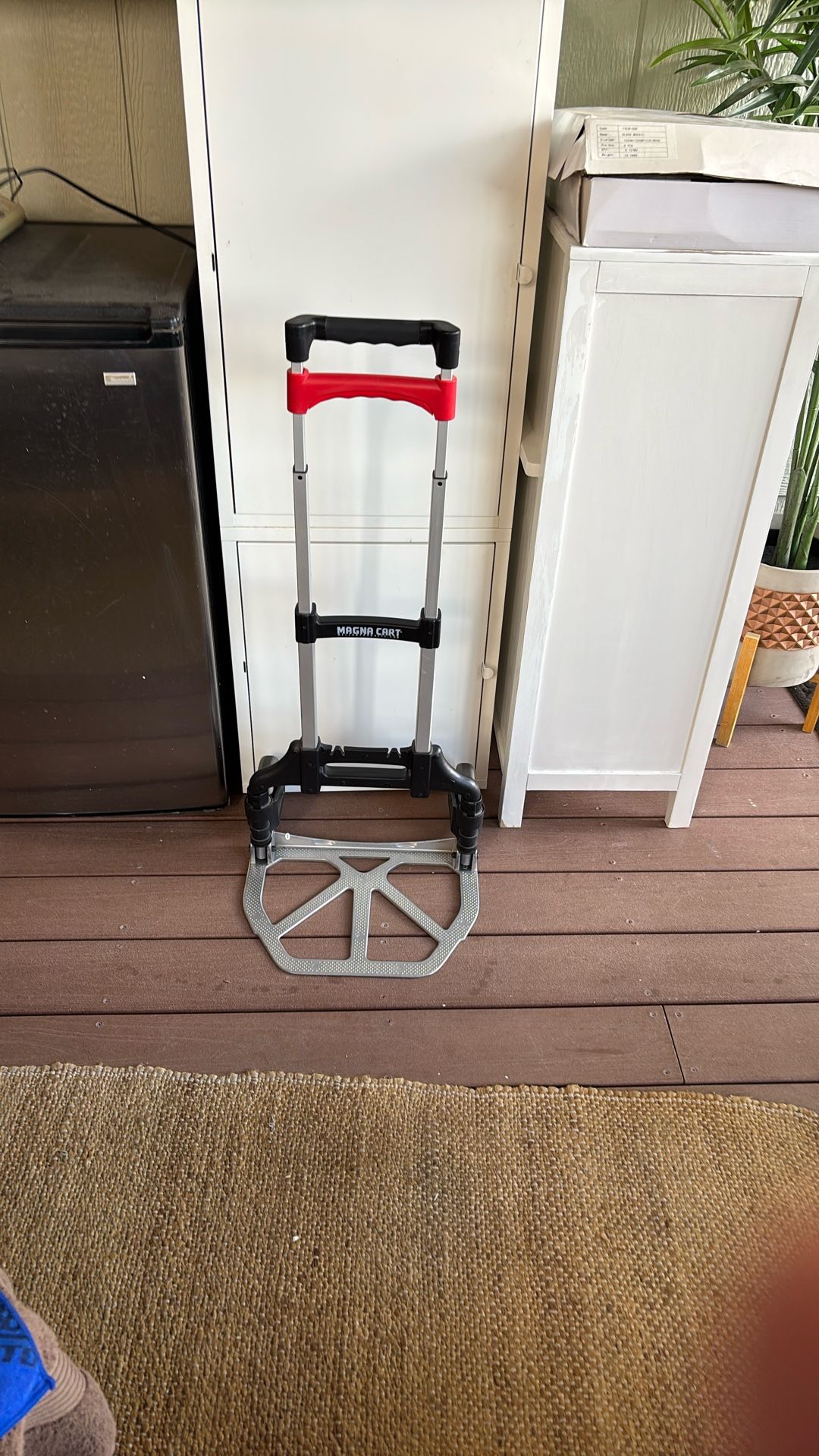 MAGNA CART