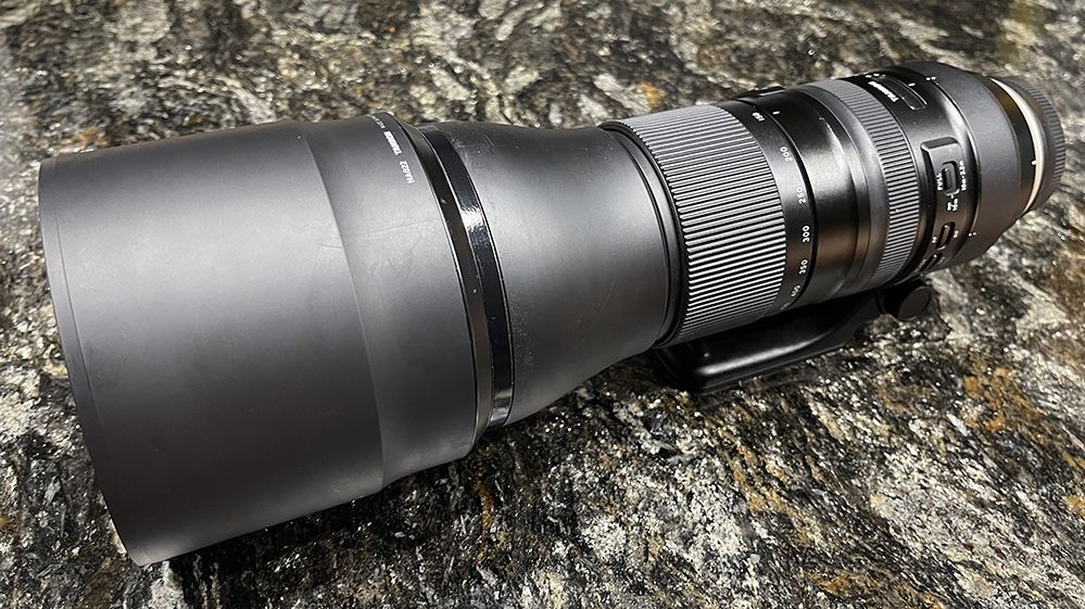 Tamron 150-600 G2 EF Mount Lens