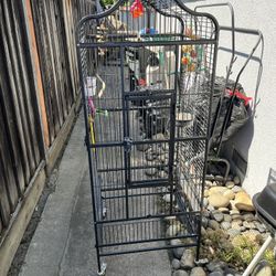 Bird Cage